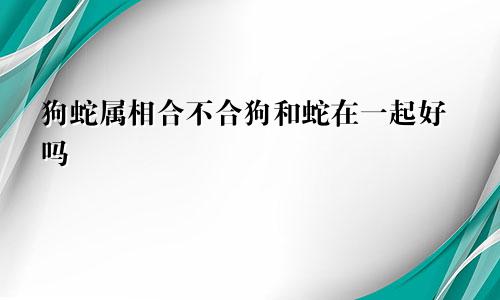 狗蛇属相合不合狗和蛇在一起好吗