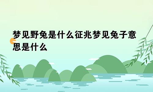 梦见野兔是什么征兆梦见兔子意思是什么