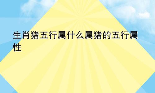 生肖猪五行属什么属猪的五行属性