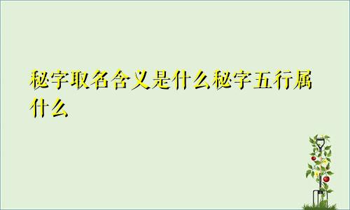 秘字取名含义是什么秘字五行属什么