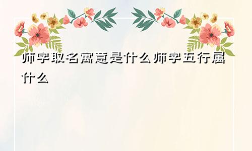 师字取名寓意是什么师字五行属什么