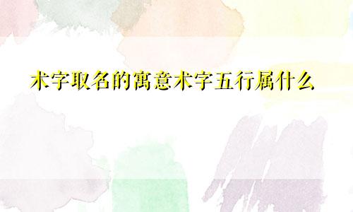 术字取名的寓意术字五行属什么