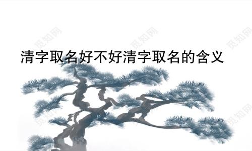 清字取名好不好清字取名的含义