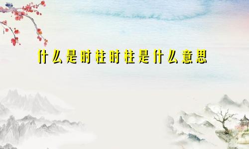 什么是时柱时柱是什么意思