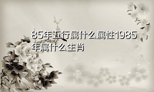 85年五行属什么属性1985年属什么生肖