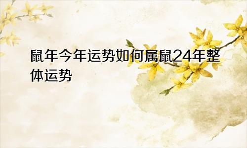 鼠年今年运势如何属鼠24年整体运势