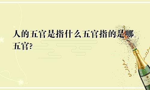 人的五官是指什么五官指的是哪五官?