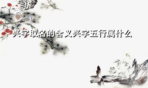 兴字取名的含义兴字五行属什么