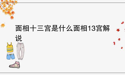 面相十三宫是什么面相13宫解说