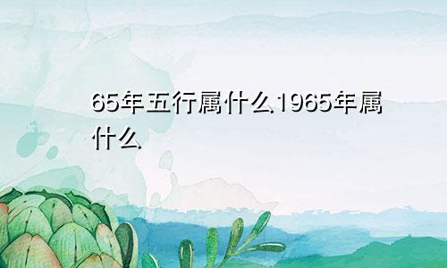 65年五行属什么1965年属什么