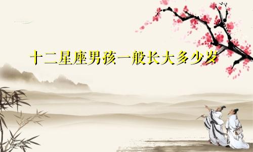 十二星座男孩一般长大多少岁