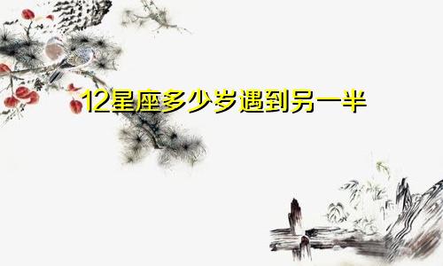12星座多少岁遇到另一半