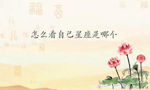 怎么看自己星座是哪个