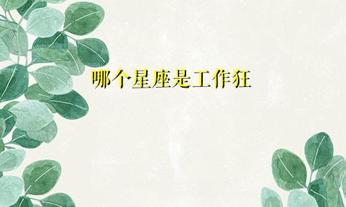 哪个星座是工作狂
