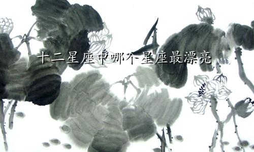 十二星座中哪个星座最漂亮