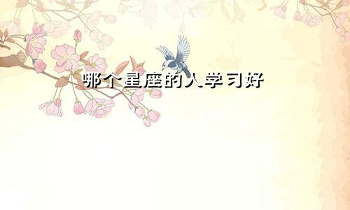 哪个星座的人学习好