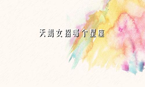 天蝎女招哪个星座