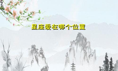 星座爱在哪个位置