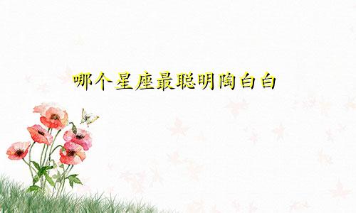 哪个星座最聪明陶白白