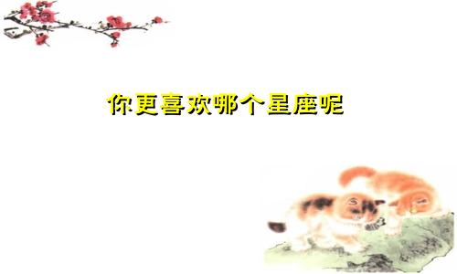 你更喜欢哪个星座呢