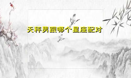 天秤男跟哪个星座配对