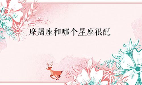 摩羯座和哪个星座很配