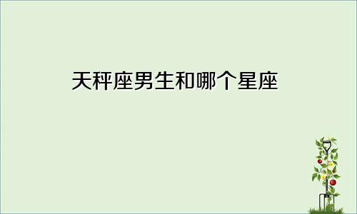 天秤座男生和哪个星座