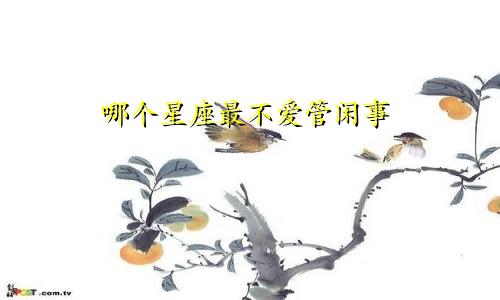 哪个星座最不爱管闲事