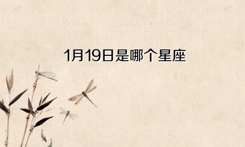 1月19日是哪个星座