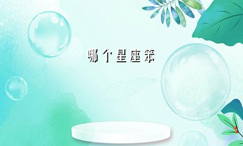 哪个星座笨