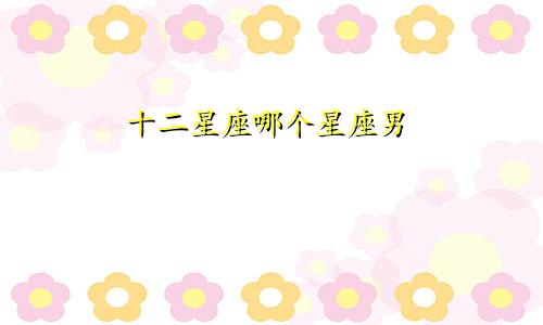十二星座哪个星座男