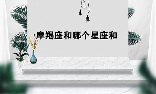 摩羯座和哪个星座和