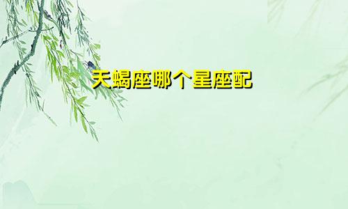 天蝎座哪个星座配