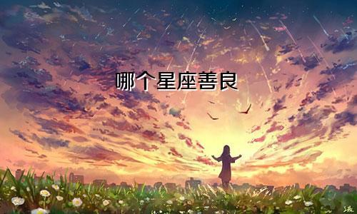 哪个星座善良