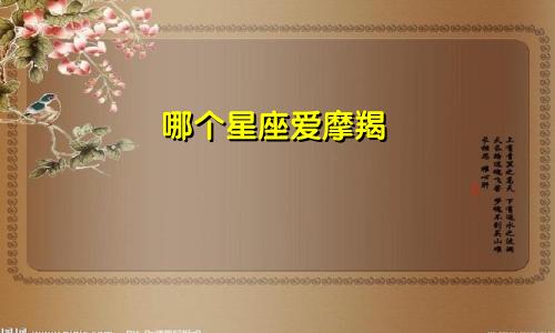 哪个星座爱摩羯