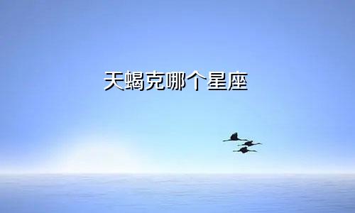 天蝎克哪个星座