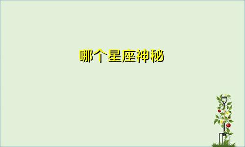 哪个星座神秘