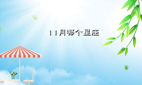 11月哪个星座
