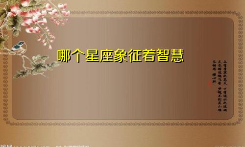哪个星座象征着智慧