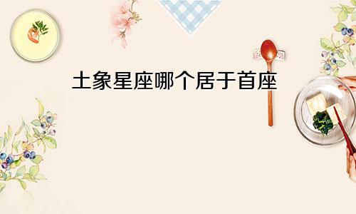 土象星座哪个居于首座