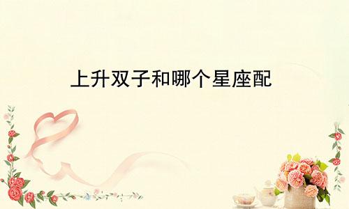 上升双子和哪个星座配