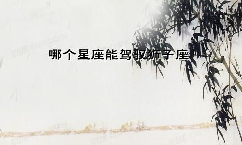 哪个星座能驾驭狮子座