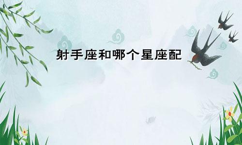 射手座和哪个星座配