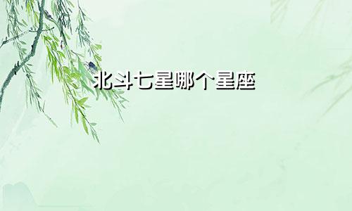 北斗七星哪个星座