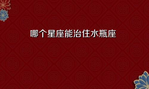 哪个星座能治住水瓶座