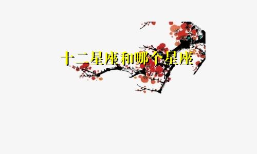 十二星座和哪个星座