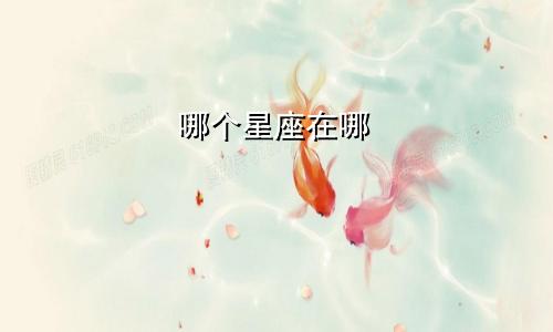 哪个星座在哪