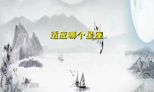 适应哪个星座