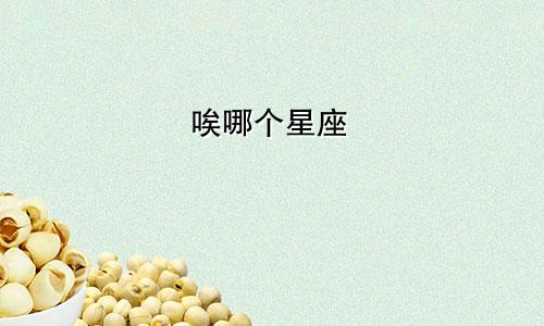 唉哪个星座