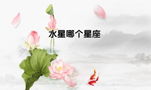水星哪个星座